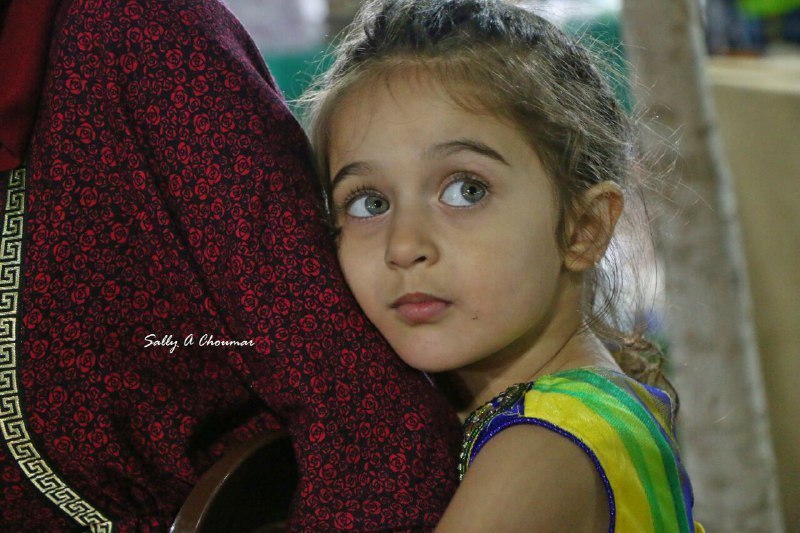 ����� ������ �� ������ ������� ������ 2017 (�����-������ ������- ���� ����)